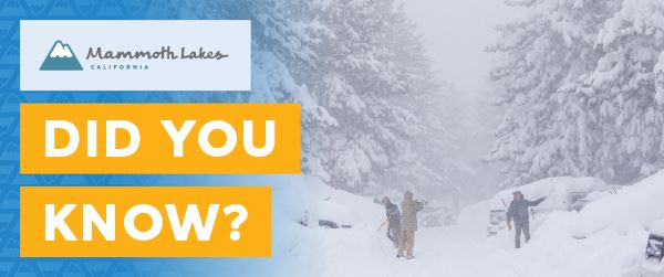 TOML_DYK_website_600x251_March_FINAL