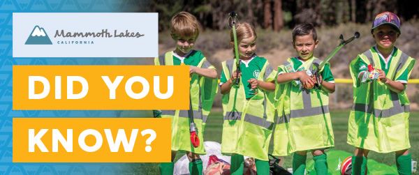 TOML_DYK_website_600x251_June_FINAL