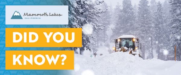 TOML_DYK_website_600x251_October_FINAL