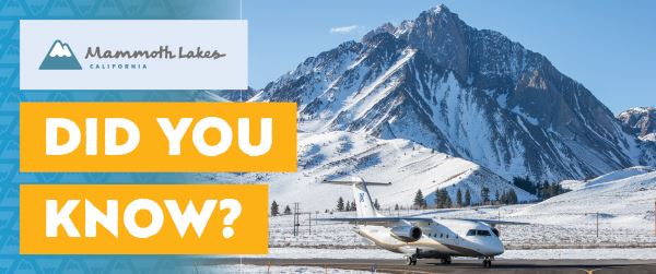 TOML_DYK_website_600x251_Nov_FINAL