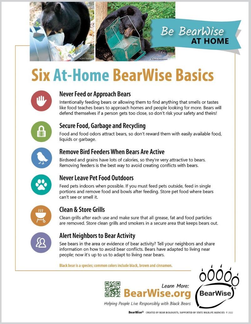Six at Home BearWise Basics