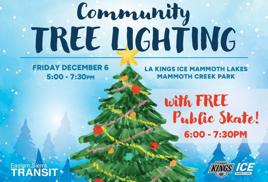 TOML_Tree_Lighting_NewsFlash